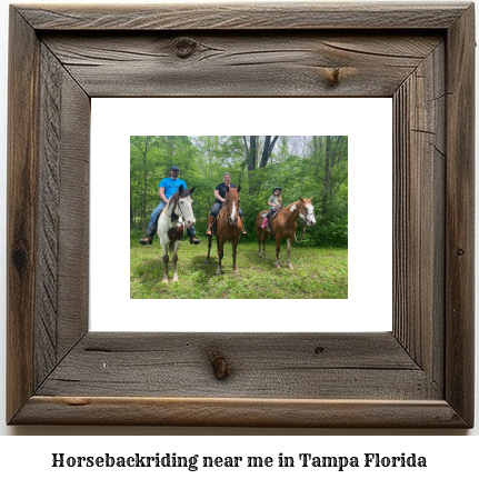 horseback riding near me in Tampa, Florida